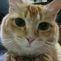 Kittiya_Nana