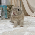 めめちゃん大好き