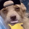 ItzYABoymystic