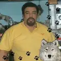 EL LOBO  LÁGRIMAS