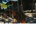 soutrevosoo