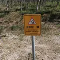 阿榮813