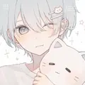 猫だけど何？