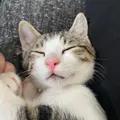 杏忍あんにん