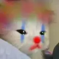 lauansantos61