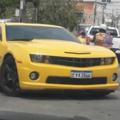 Vini54061