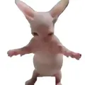 H0ly_clipz