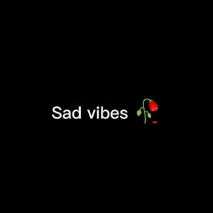viansyh [LDR]