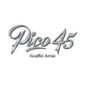 Picoo45