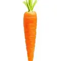 Carrot347