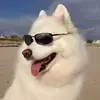 ppppppppppp