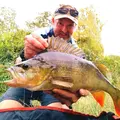 WYEPERCH