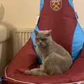 Benjie ⚒️