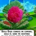 SISITA🪷🪷