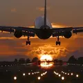 Wαℓter502