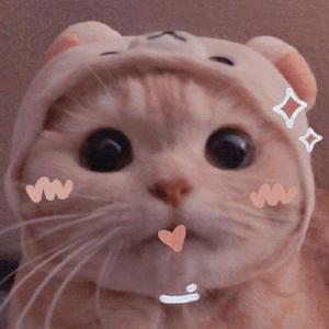 [KB] michie♡