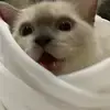 uyuw