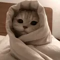 Din