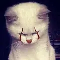 Miaw.-.