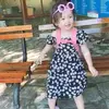 ViMi