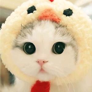 ufy [19]