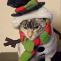 Bánh gato🎂