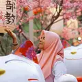 zhizee[BCR]