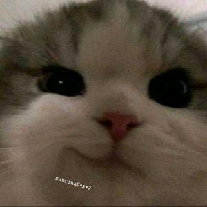 𝚂𝚊𝚋𝚛𝚒𝚗𝚊_Rorr