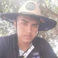 evertonfrancisc95
