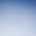 bluegraygrll [AMF]