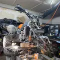 500.predator