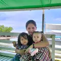 Anjcsmr