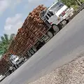 Kelana Syah[BCR]