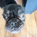 Witterallyhitdagriddyinlootlak