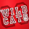 Team WILDCATS