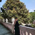 NSY08