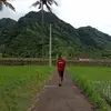 KemenuhAngsoka