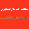 Najeebullah Khurasanpoor