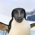 Katies Penguin
