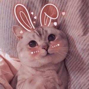 iam__Meow