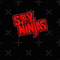 spy ninjas947