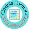 Gloxinia Harmoni