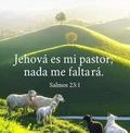 Gil Juarez122