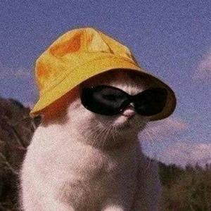 hết flop thì đổi tên