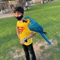Rizwanakhan
