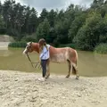 Maya und angel ꨄ