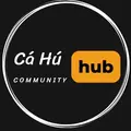 Cá Hú Lang Thang