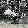 Jake Munson
