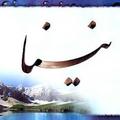 Farzana Naina381