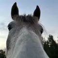 𝘏𝘦𝘭𝘪𝘊𝘰𝘱𝘵𝘦𝘳𝘦